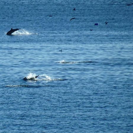 Rocachica Eden Beach 21 Torremolinos Dış mekan fotoğraf